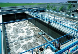 Meios os mais baratos de China MBBR os bio para a lagoa biológica da filtragem/peixes