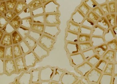 Tecnologia de Aeração de Entrega de Alta Velocidade MBBR Biochips transportadores Tratamento de Água Municipal