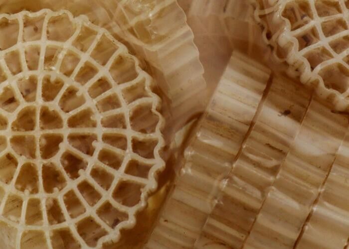 Material virgem HDPE MBBR Biofiltro de plástico com boa área de superfície