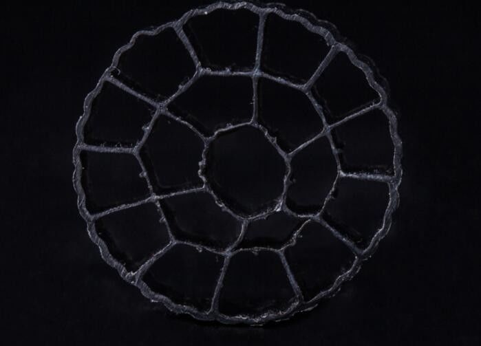 Material HDPE PE06 Bio Media, MBBR Filter Media 25mm X 12mm Colorido
